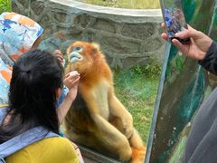 -西安秦岭野生动物园