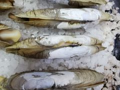 铁板盐蛏-青竹园海鲜餐厅(海天路店)