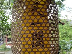 -天一阁博物院