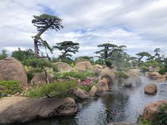 -罗红摄影艺术馆