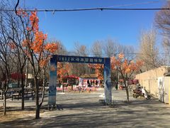 -1982农场