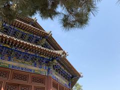 -中国唐苑