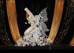 -美诺婚礼策划·求婚策划