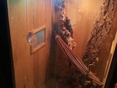 -Rabbit Cafe私房西餐甜点咖啡(栖霞路店)