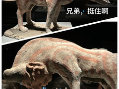 -大同市博物馆