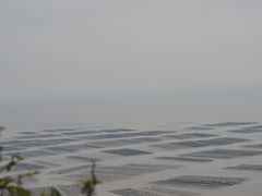 -花竹村