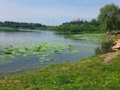 -丁香湖公园
