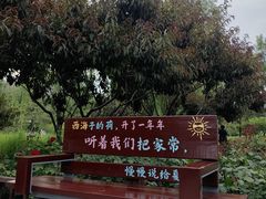 -西海子公园