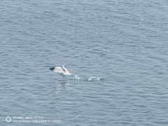 -南京金牛湖风景区