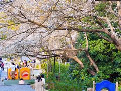 -杭州少年儿童公园