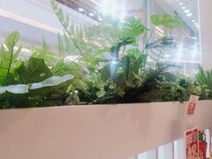 -吕氏疙瘩汤·海鲜新鲁菜(凯德mall新都心店)