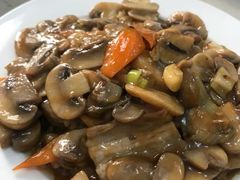 肉炒鲜口蘑-九龙餐厅(大沽路店)