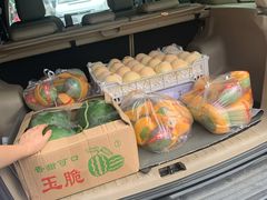 -双福水果批发市场