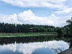 -白渔泡湿地公园