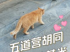 -五道营胡同