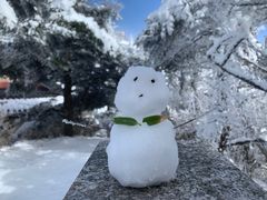 -峨眉山风景名胜区