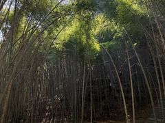 -敬亭山风景名胜区