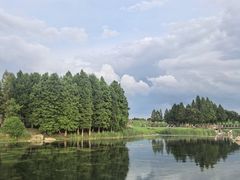 -滆湖低碳生态公园