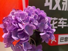 -巴音浩日娲·蒙餐(双林东路店)