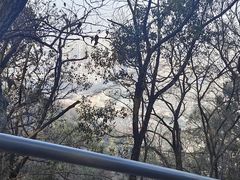 -惠山国家森林公园