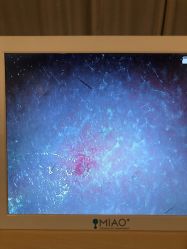 -韩国淼美颜皮肤管理官方直营店