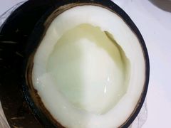 -志龙皇冠吃货椰子铺