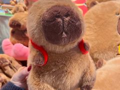 -酷乐潮玩(金桥国际店)