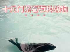 -成都动物园