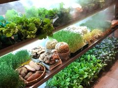 -鲜货俚鲜火锅(青果路店)