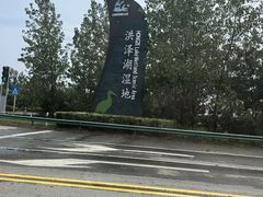 -泗洪洪泽湖湿地景区
