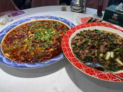 -新概念来凤鱼(璧山店)