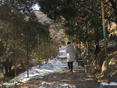 -北京鹫峰国家森林公园