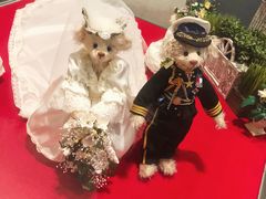 -济州岛泰迪熊博物馆