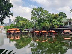 -侨美·唐荔园·40年地道粤菜