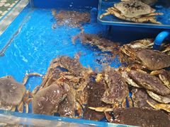 -帝皇海海鲜豆捞(桐泾商务广场店)