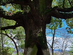 -城隍阁