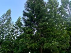 -荔香公园