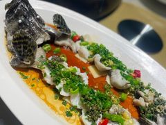 青花椒石斑鱼-翠府(翠湖北路店)