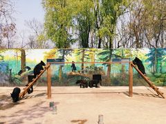 -西安秦岭野生动物园