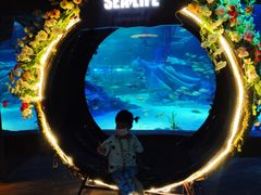 -沈阳海洋探索中心