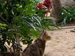 -启德考培雅思托福留学(香洲校区)