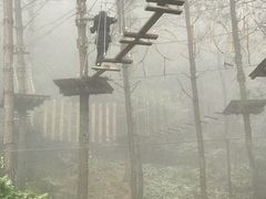 -梦幻奥陶纪景区