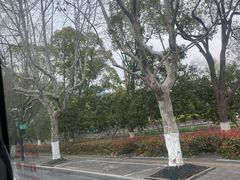 -西湖文化广场