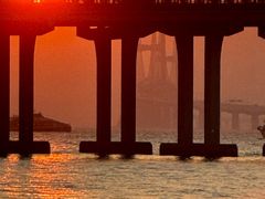 -宝安西湾红树林湿地公园