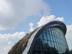 -上海吴淞炮台湾国家湿地公园