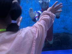 -重庆欢乐海底世界