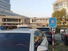 -上海市第六人民医院(临港院区)