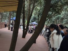 -大余丫山旅游度假区