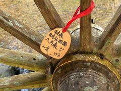 -莫里热带雨林景区