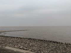 -瀛洲公园